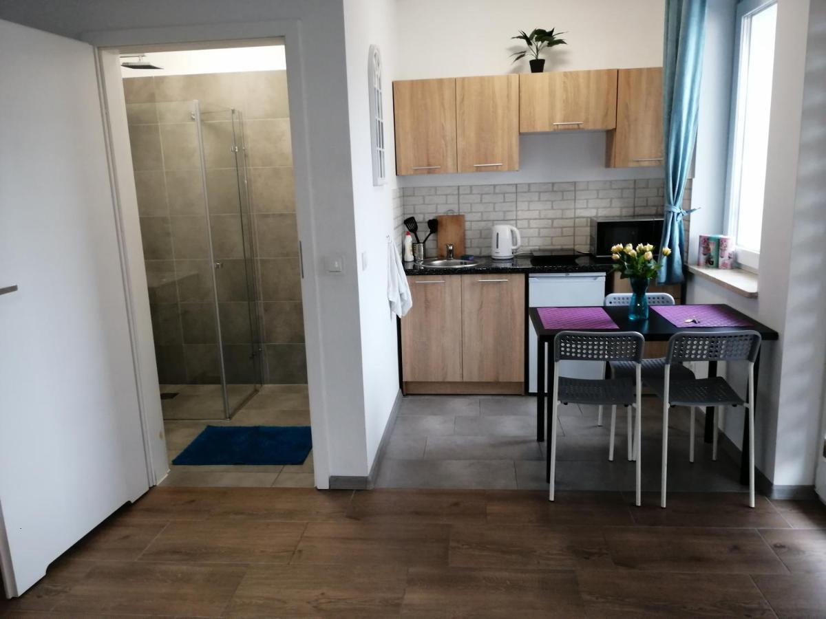 Pokoje - Studio Gliwice I Przy Onkologii Kültér fotó